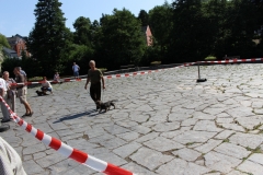 15.07.19 Zuchtschau Rodewisch (2)