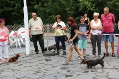 15.07.19 Zuchtschau Rodewisch (4)