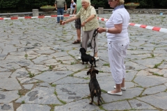 15.07.19 Zuchtschau Rodewisch (5)