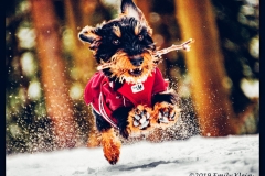 Gewinnerfoto Wintermotiv