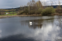 16.04.24 Wanderung Oberlauterbach (5)
