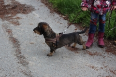 16.04.24 Wanderung Oberlauterbach (7)